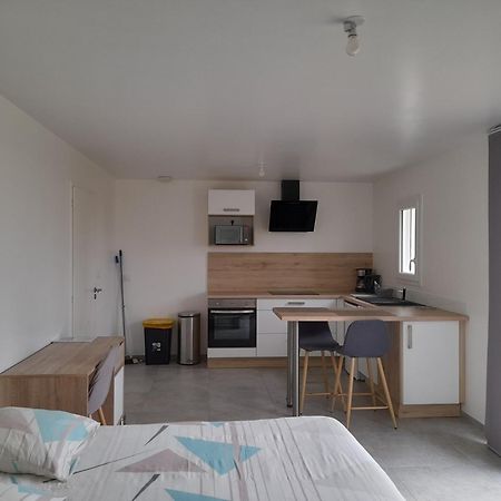 Studio Lumineux Avec Terrasse La Roche-sur-Yon Eksteriør billede